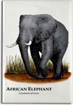 african_elephant_6247455227_l