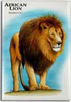 african_lion_6247455343_l