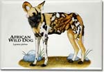 african_wild_dog_6247455401_l