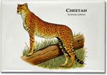 cheetah_6247455523_l