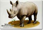white_rhinoceros_6247978016_l