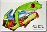 red_eyed_tree_frog_6247180322_l