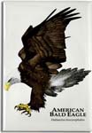 bald_eagle_6247408673_l