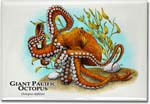 giant_pacific_octopus_6247466661_l