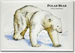 polar_bear_6247442463_l