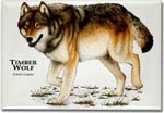 timber_wolf_6247964874_l