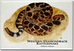 western_db_rattlesnake_6246489035_l