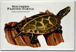 southern_painted_turtle_6246968180_l