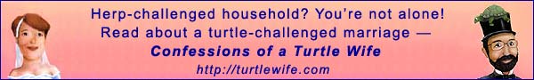 Go to turtlewife.com!